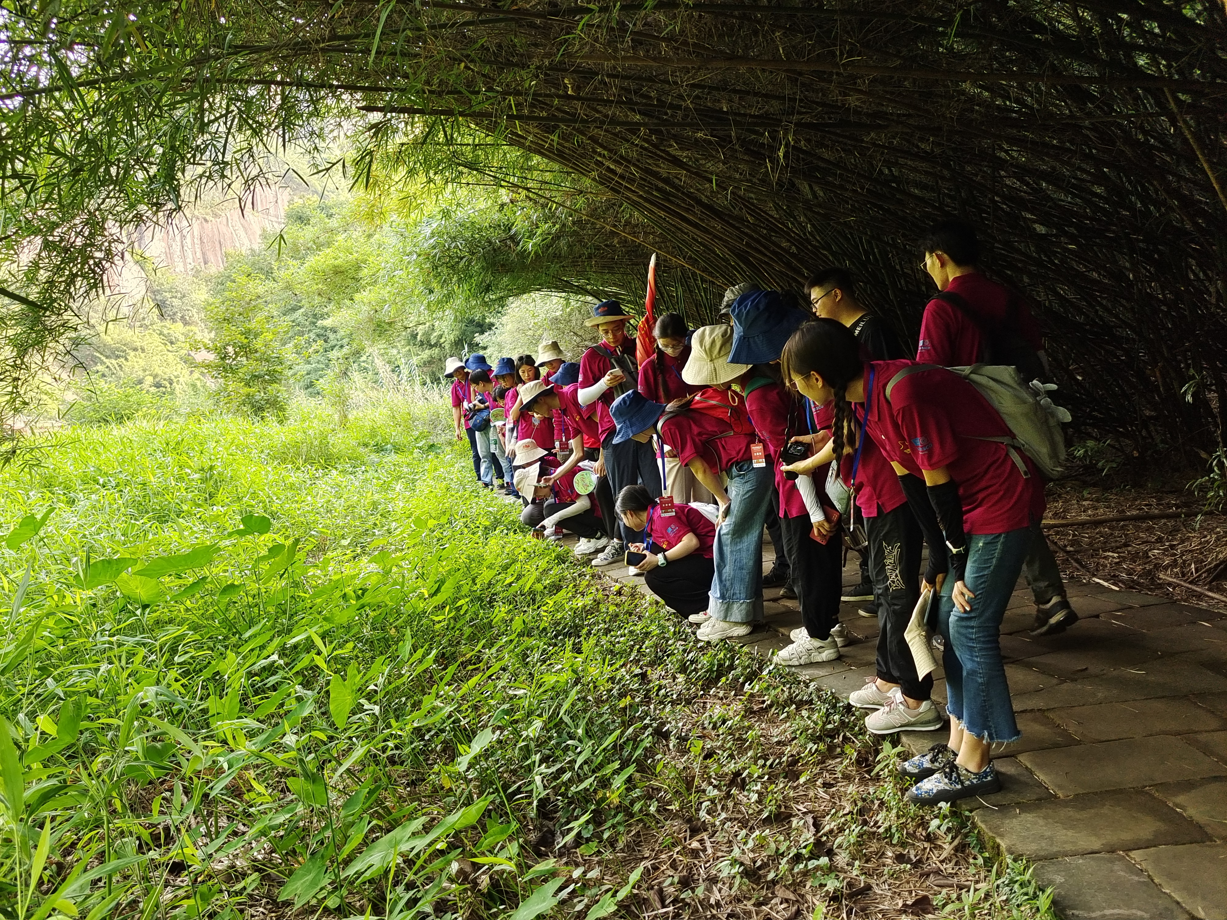 Field study trip of biodiversity.jpg