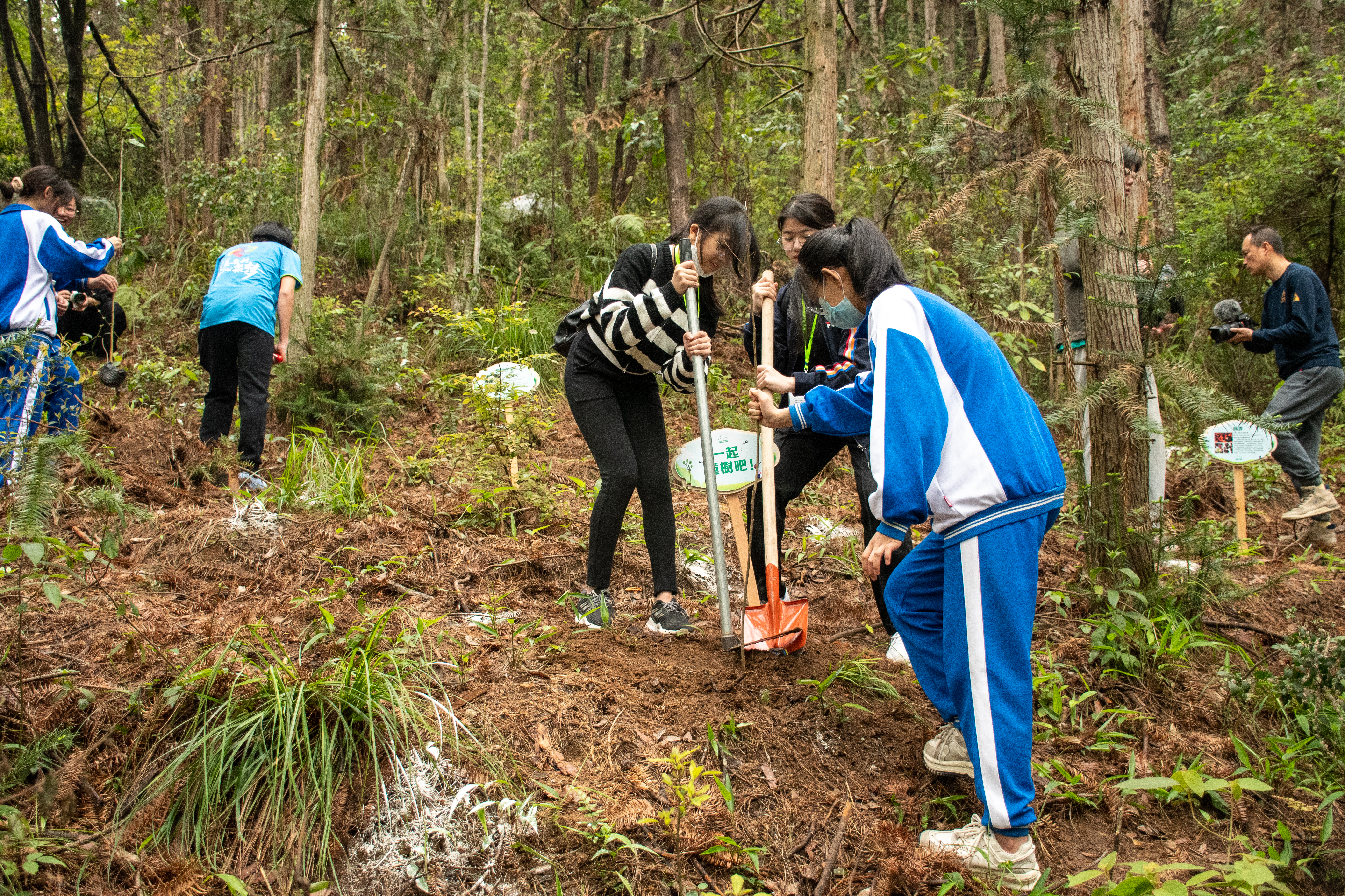 Students are planting trees..jpg