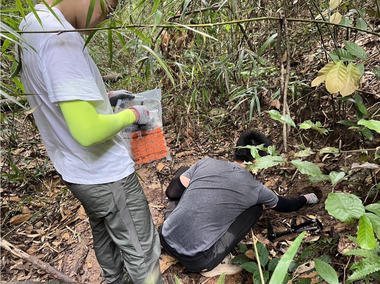 The team is collecting microbial samples from Danxiashan Mountain.png