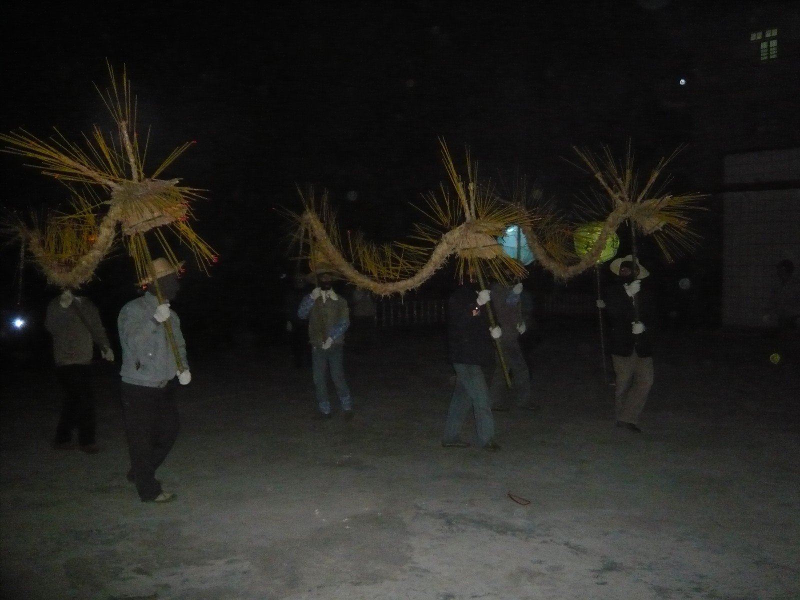 Meihua Dragon Dance